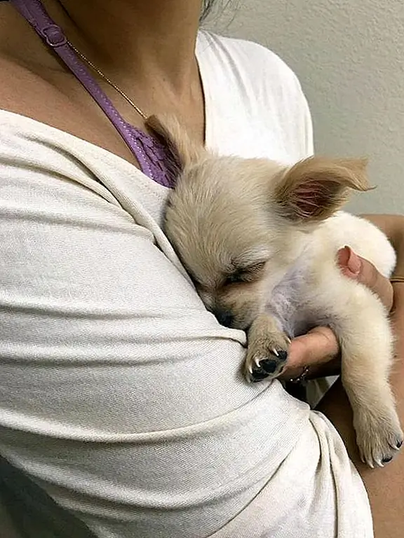 кредит: Facebook кредит: Facebook