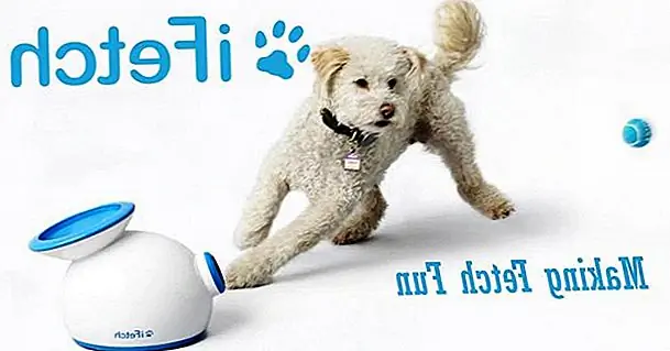 кредит: iFetch