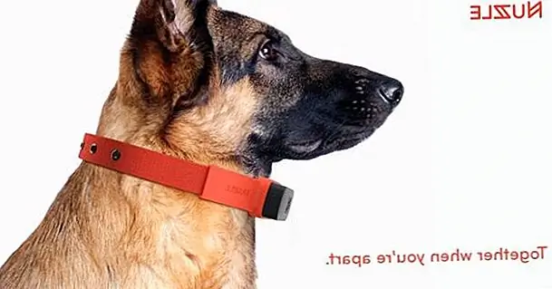 кредит: головоломка