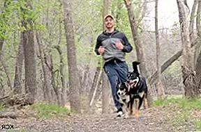 Собака-Powered Бег: Поймите с Canicross