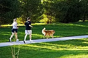 I Ruff You - Почему упражнение - подарок любви вашей собаке