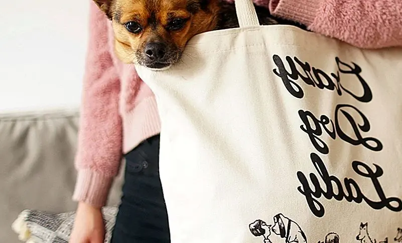 19 Dog-Themed Tote Bags, чтобы дать (или сохранить) этот праздничный сезон