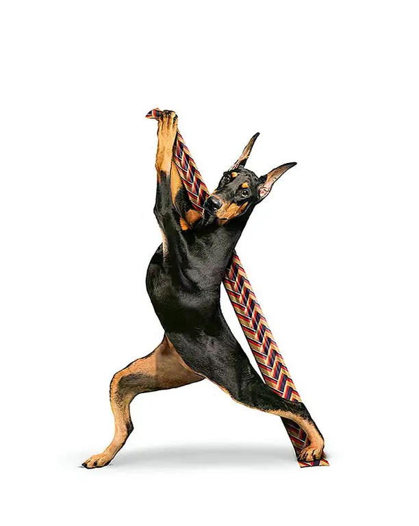 Image Image