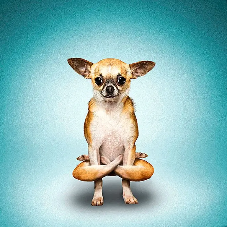 Image Image