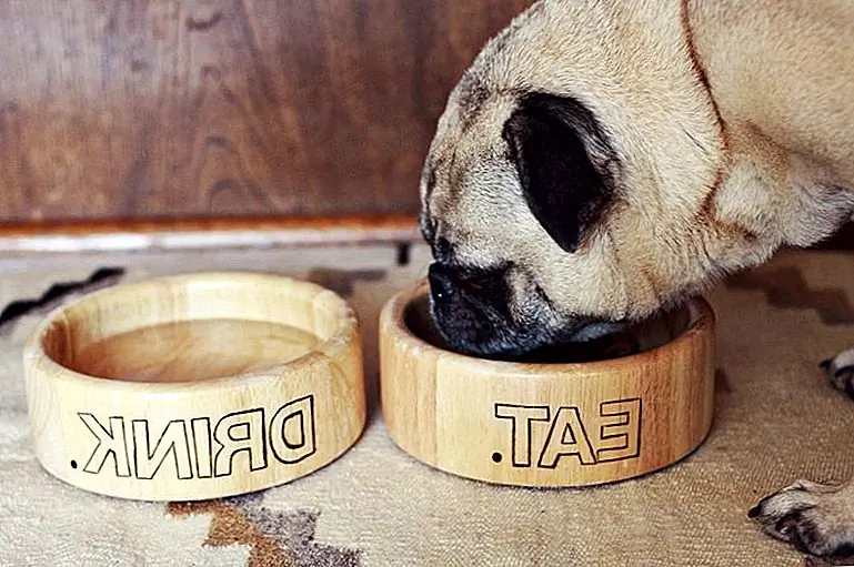 9 Lovely Doggie DIY из нашего любимого блога - прекрасный беспорядок