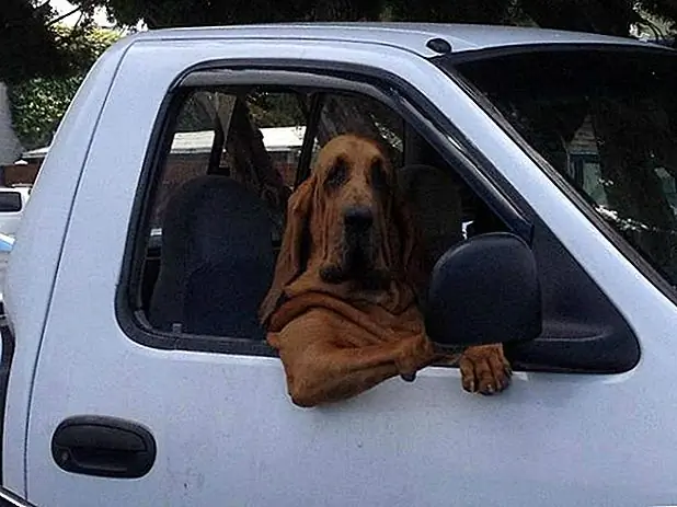 11. «О, не обращай на меня внимания, я просто жду … к победе»