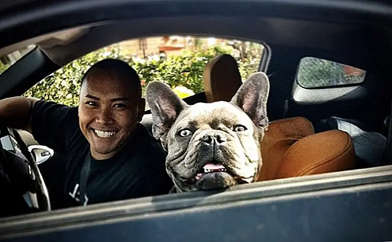 15 Shotgun Pups, которые вы не хотите встречать на красном свете