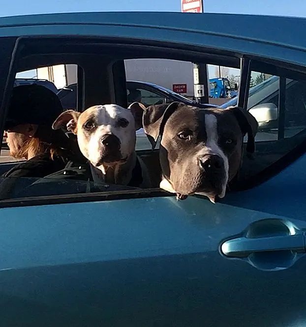 3. «Но лучше прекратить смотреть на меня, потому что у меня есть свои оттенки, и я готов бросить»