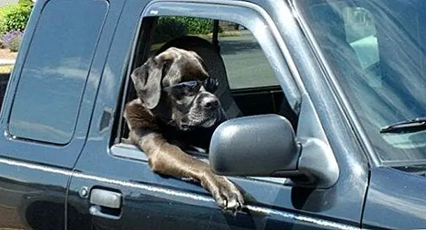 4. «Я и мой приятель здесь посчитают до трех, и когда мы закончим, это будет как нерушимый Конг»