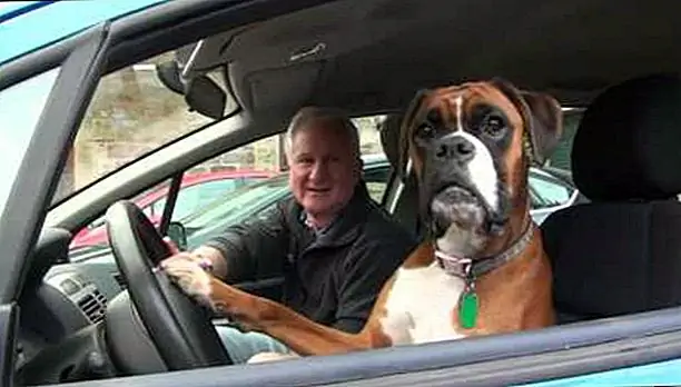 5. «В точках в этой гонке я могу выглядеть прохладно, спокойно и легко, как Бернард»