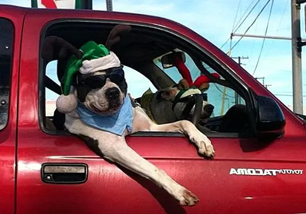 9. «Это мой нахальный глаз. Это отвлекает вас, не так ли?