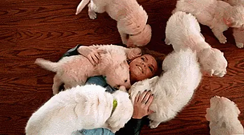 Избранное изображение через Эрика Лютмана