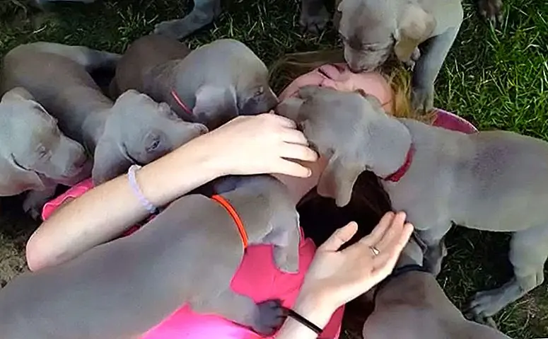 10 человек живут своей лучшей жизнью на дне щенка