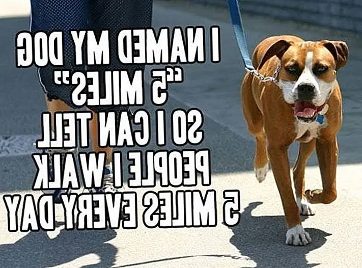 Избранное изображение через imgur