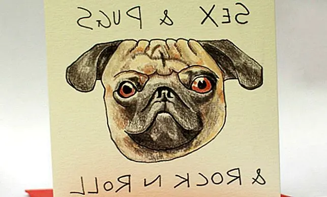 11 Rocktastic Items для The Edgy Dog Mama