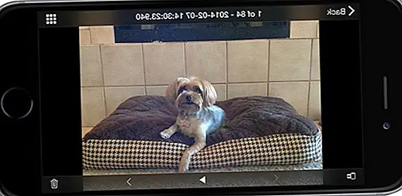Всегда следите за своим pooch, пока вы в отъезде с этим удобным приложением. Приложение использует микрофон и камеру вашего телефона для передачи видео в реальном времени на другое устройство. Это похоже на няню для собак.