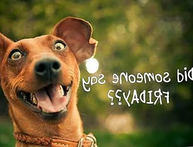 Image Image