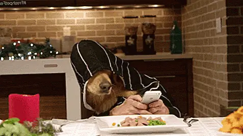 Единственный раз, когда можно использовать пение для собак при открытии обмена с людьми, это когда вы подаете заявку на должность в BarkPost (настоящая история) или когда вы просто не даете щенка, что думают люди. Это круто, но это может и не дать вам дату. YMMV.