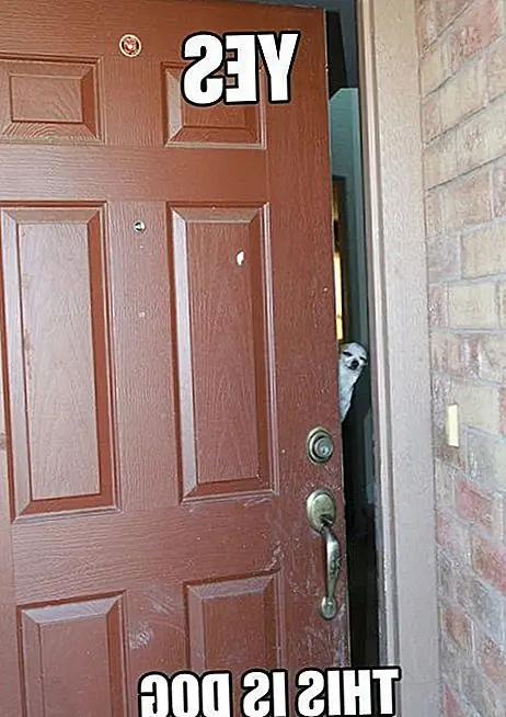 Теперь некоторые из вас могут задаться вопросом, что не так с этим утверждением.