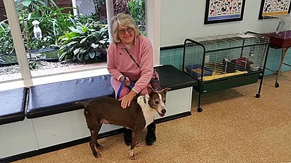 У Рофуса была хорошая жизнь в приюте. Он гулял, и живот царапины, и подарки.