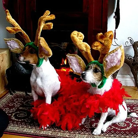 12. «Дашер, как это будет работать, когда мы боимся летать?»