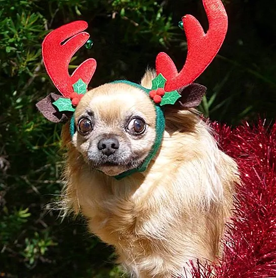 6. «Я собираю свои ботинки, потому что на небе очень холодно»