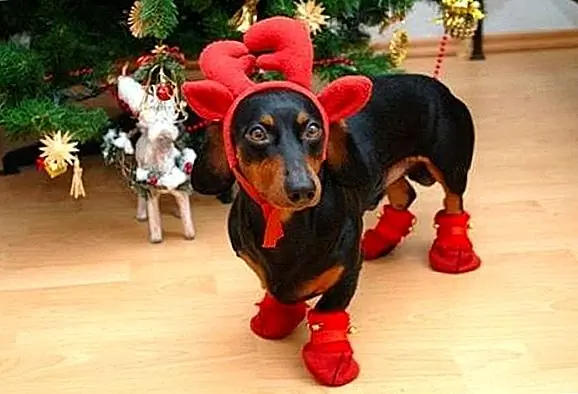 7. «Я просто не уверен, что нос находится в правильном месте»