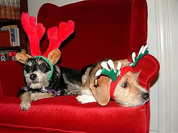 9. «Все, что летает по всему миру, изнурительно»