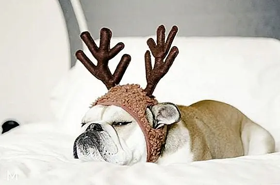 10. «Ребята, нет. 23 даже не оставлял мне морковь. #Rude «