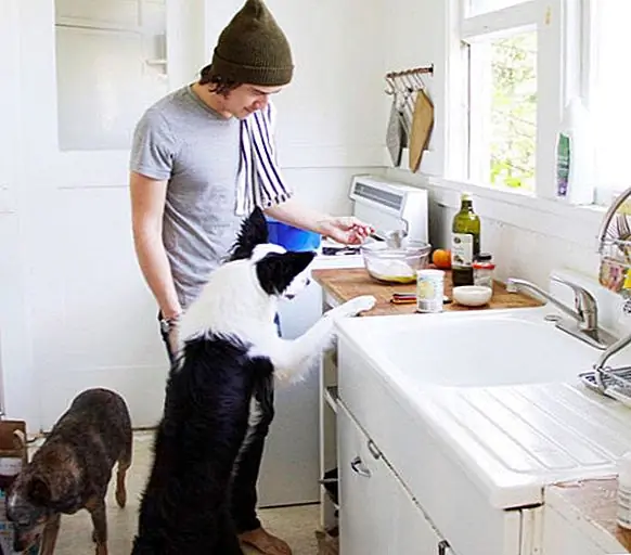 Если ваша собака склонна к прыжкам на столешницы, необходимы правильные ручки. Это особенно верно для печей с ручками, которые параллельны земле.