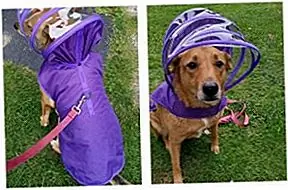 Обзор продукта: Push Pushi Raincoats