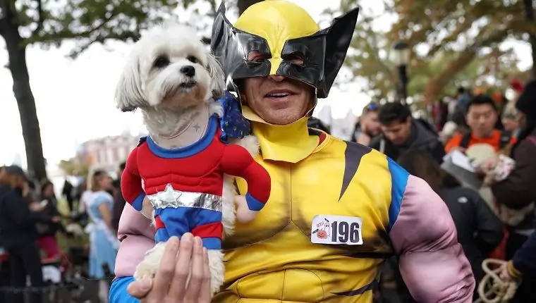 Лучшие клички для собак, навеянные ' X-Men ' Кино