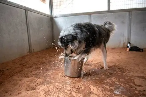 Изображение Изображение