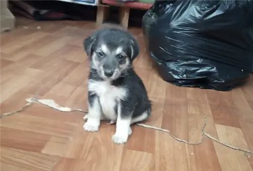 Изображение Изображение