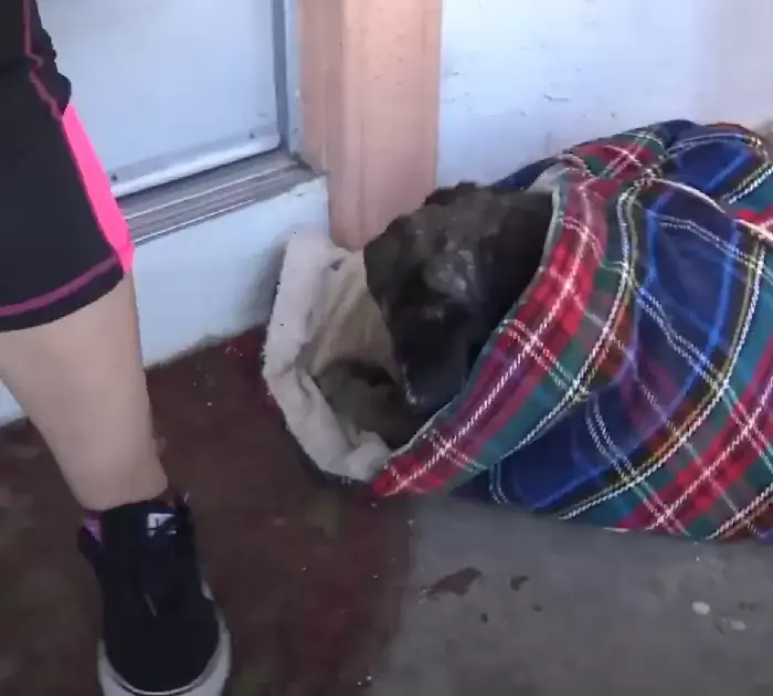 Изображение Изображение