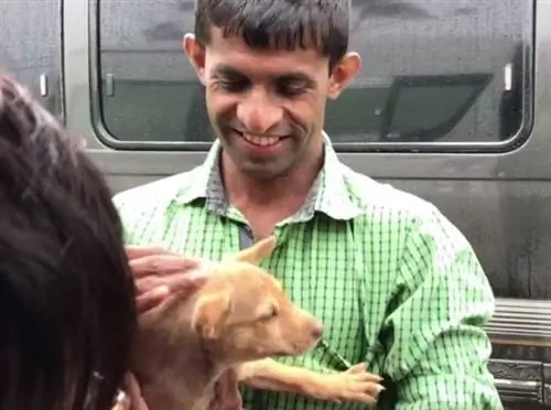 Image Image