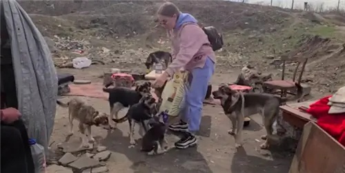 Изображение Изображение
