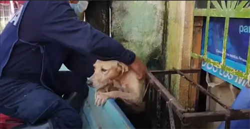 Изображение Изображение