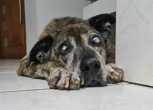 Изображение Изображение