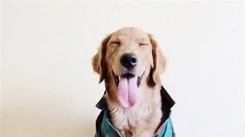 Изображение Изображение
