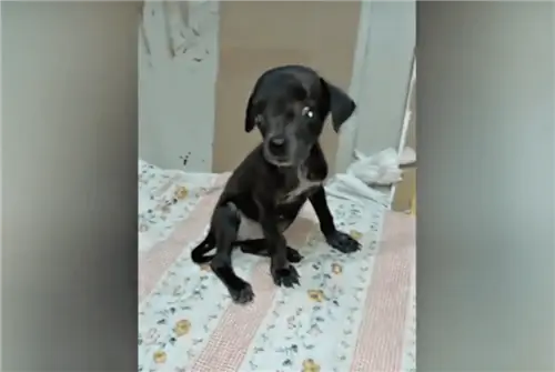 Изображение Изображение