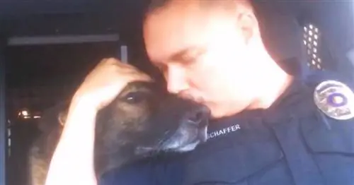 Офицер красиво проводит своего уходящего напарника по K-9 после 8 лет службы