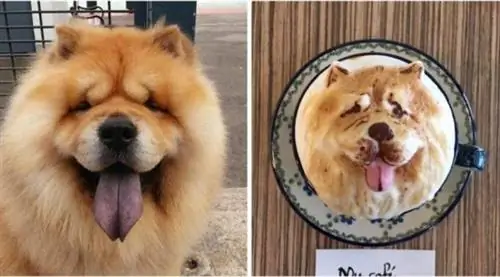 Изображение Изображение