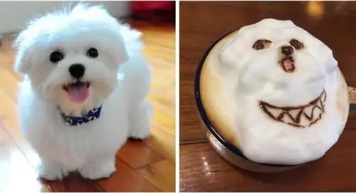 Изображение Изображение