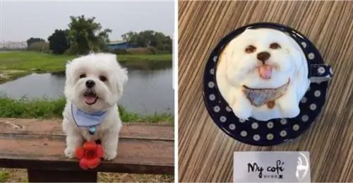 Изображение Изображение