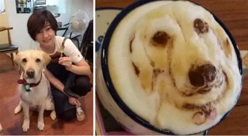 Изображение Изображение