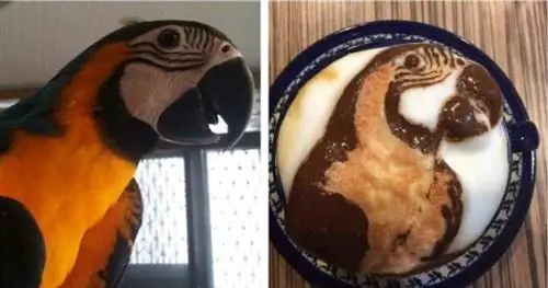 Изображение Изображение