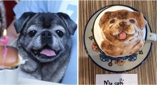 Изображение Изображение