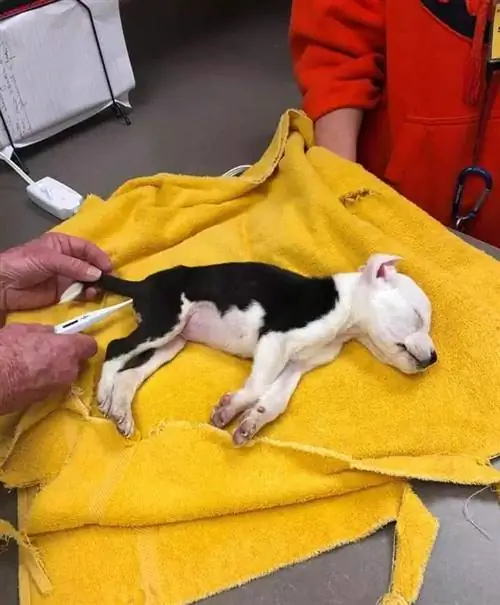 Изображение Изображение