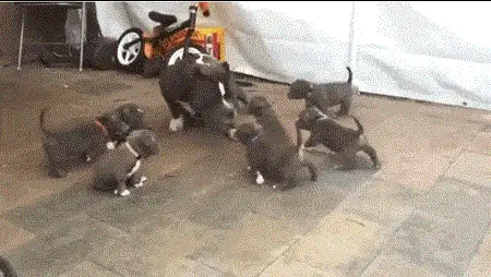 Изображение Изображение